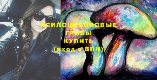 МДПВ Абинск