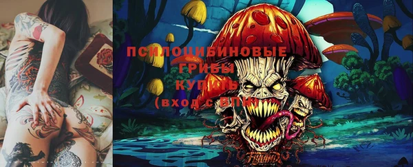МДПВ Абинск