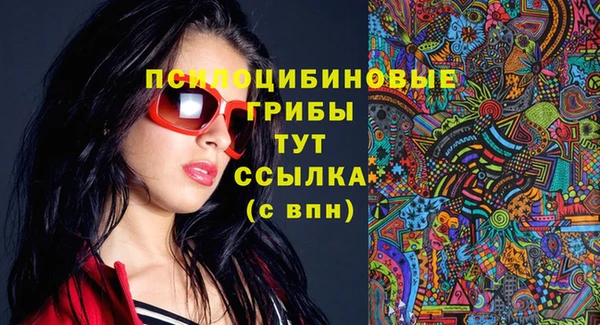 МДПВ Абинск