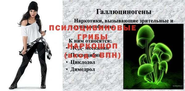 МДПВ Абинск