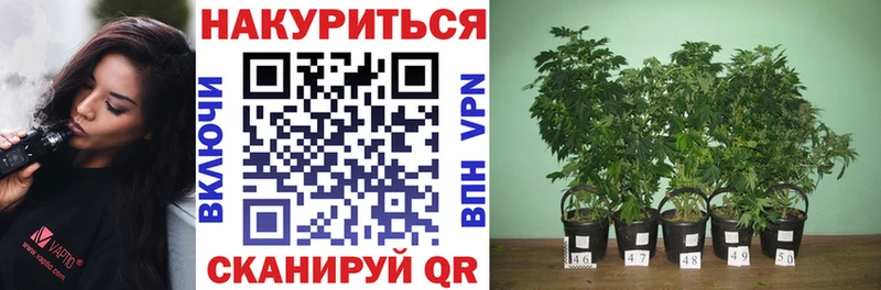Каннабис THC 21%  Руза 